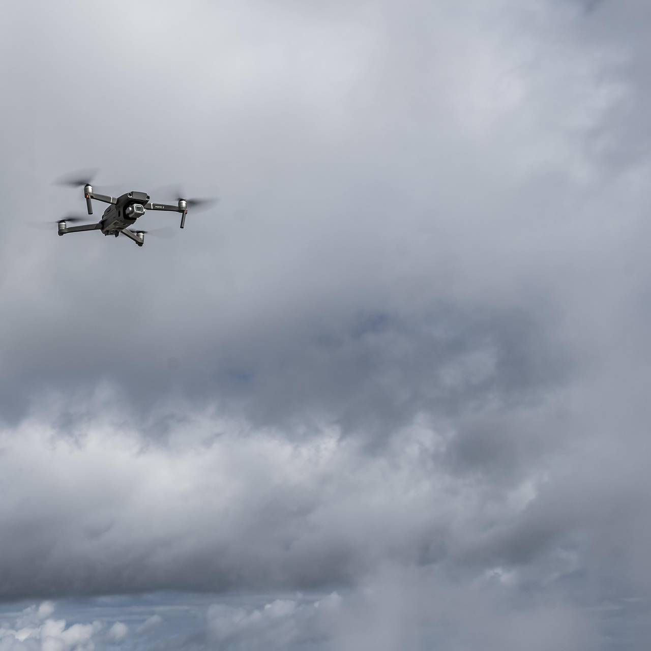 Фото: Globallookpress.com