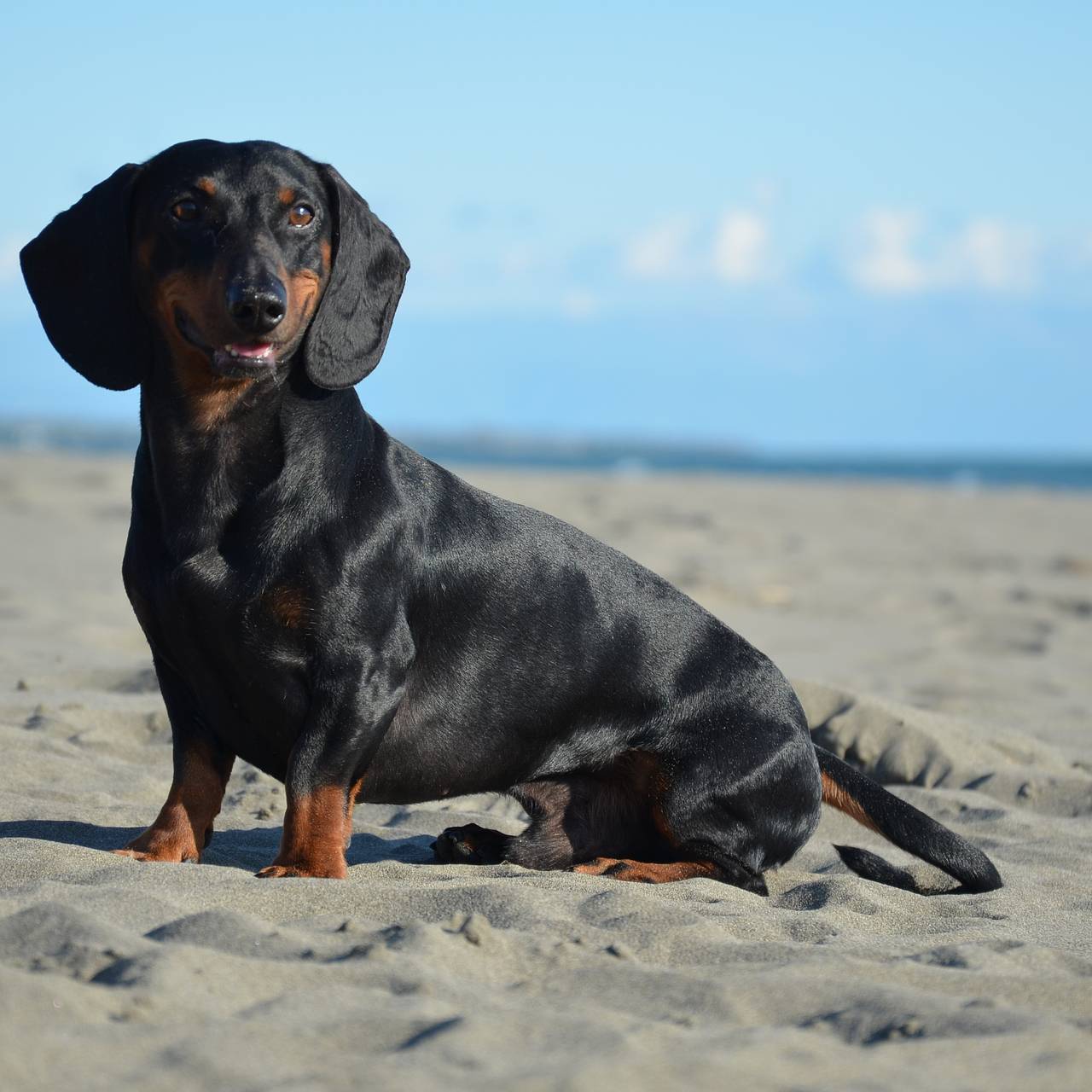 Фото: AlexaFelice / Shutterstock / Fotodom  