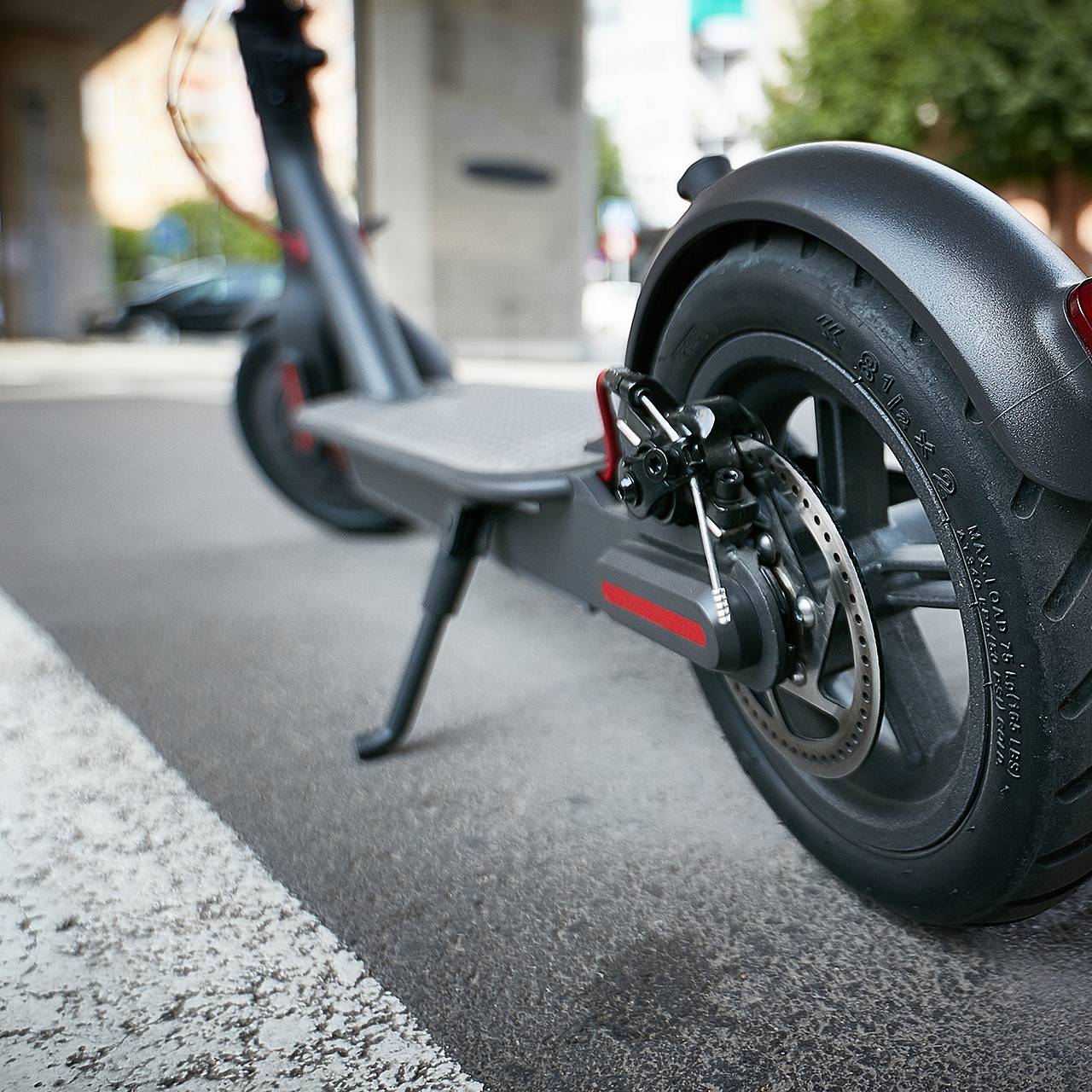 Фото: Andriy Bilous / Shutterstock / Fotodom