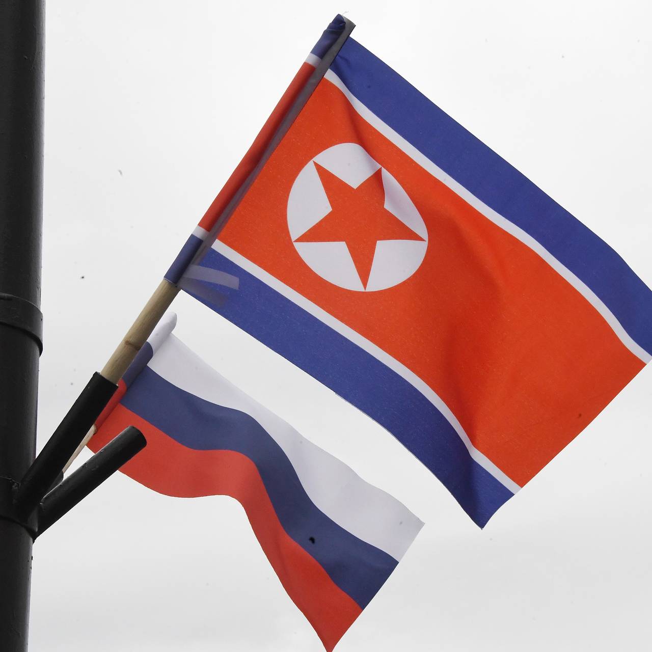 Фото: Виталий Аньков / РИА Новости