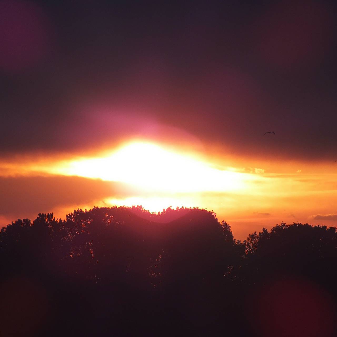 Фото: Victor Lisitsyn / Global Look Press