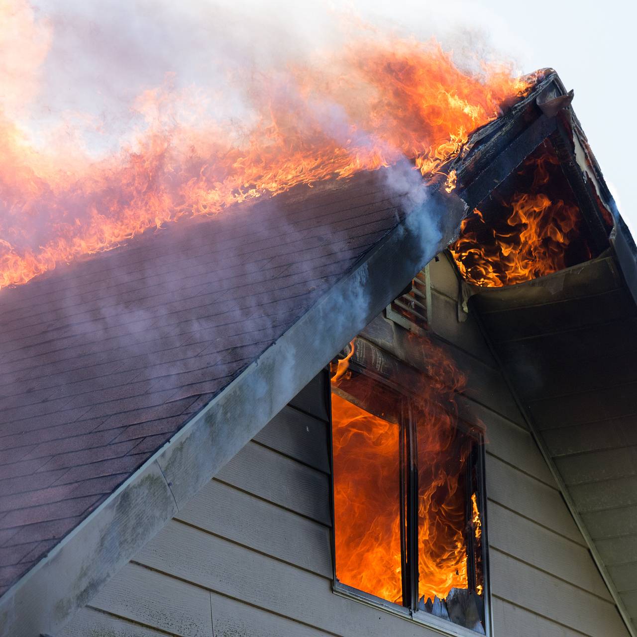 Фото: Shutterstock / Fotodom