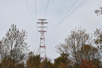 На Украине заявили о готовности помочь Европе