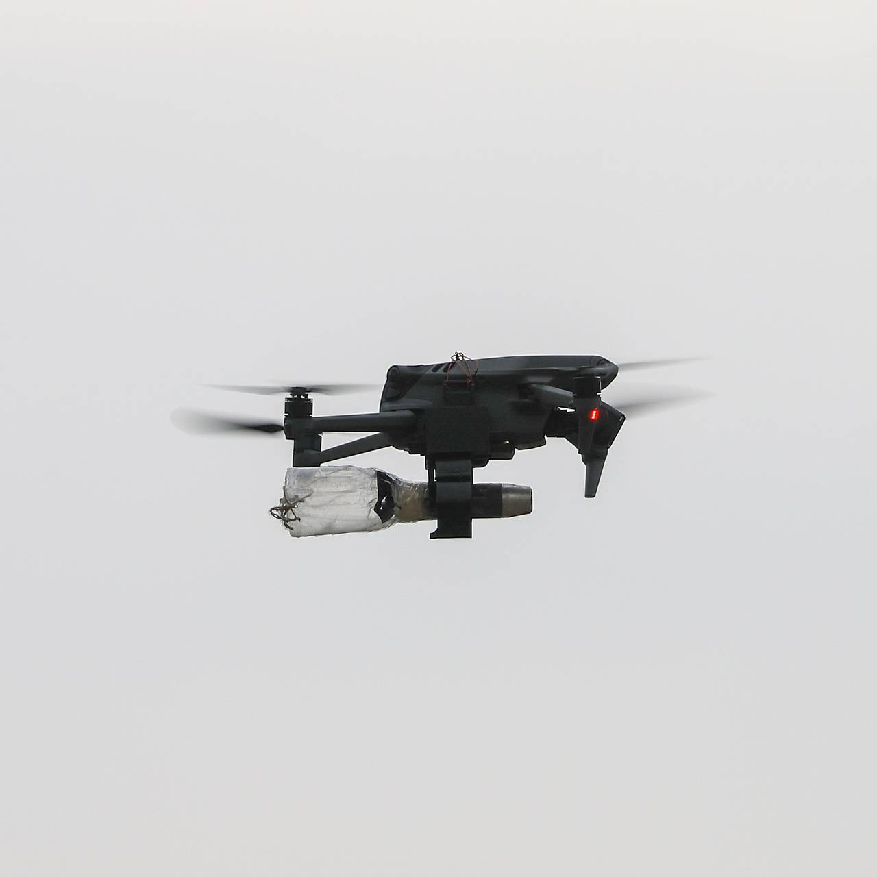 Фото: Shatokhina Natalia / Globallookpress.com