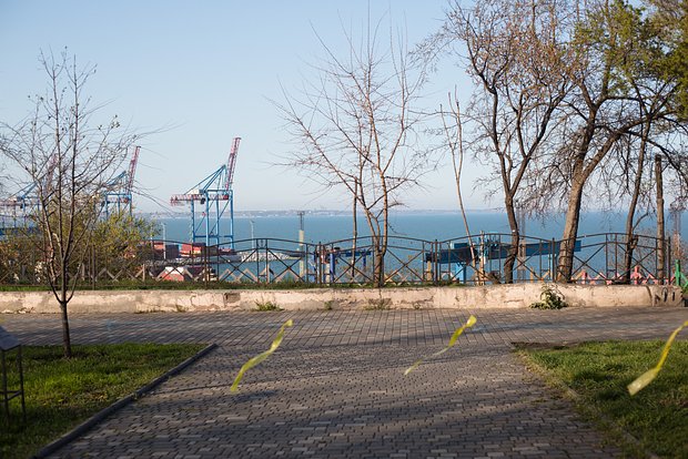 Вводная картинка