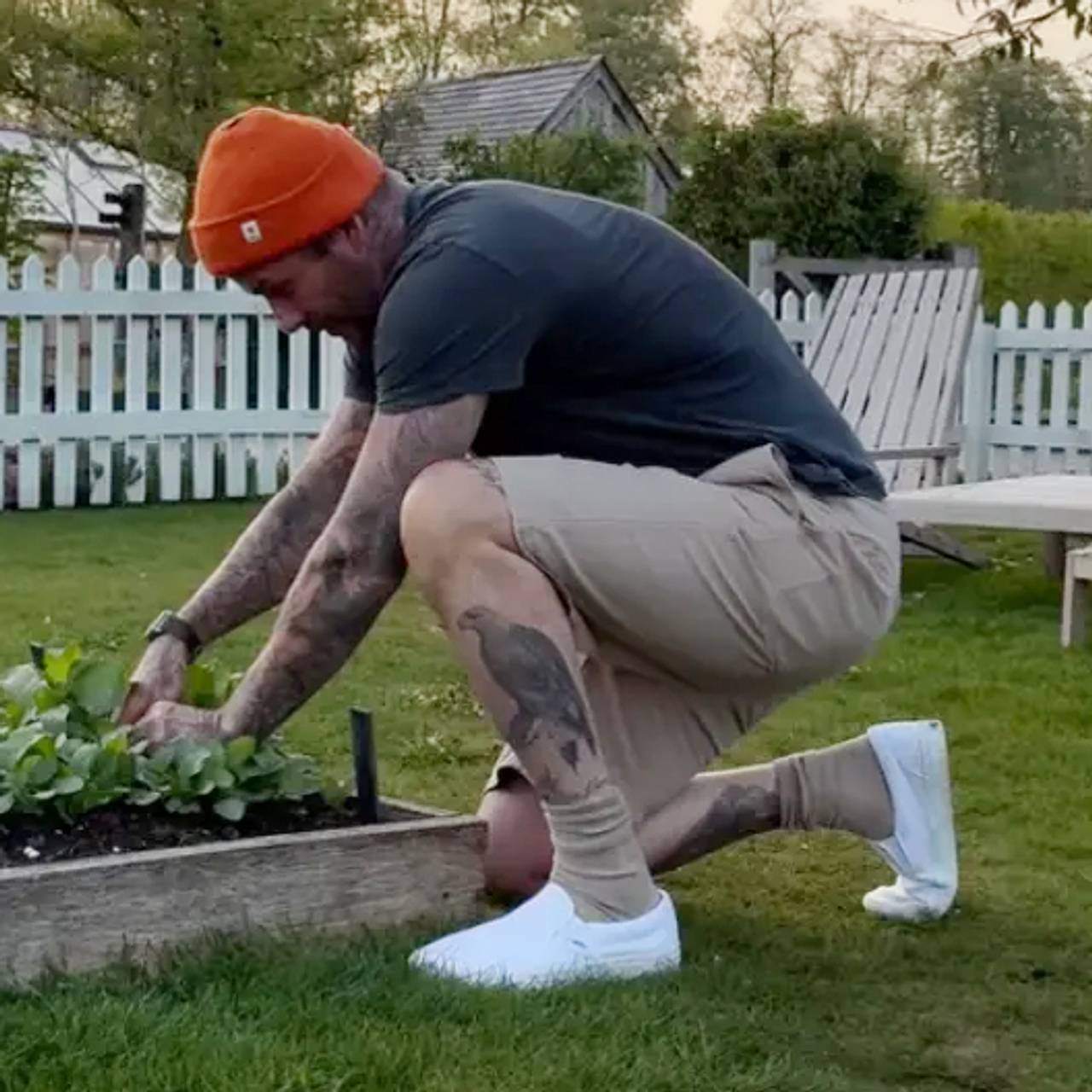 Кадр: @davidbeckham