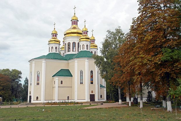 Вводная картинка
