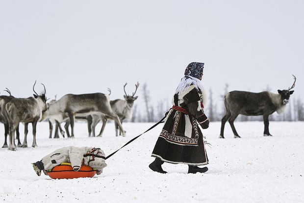 Вводная картинка
