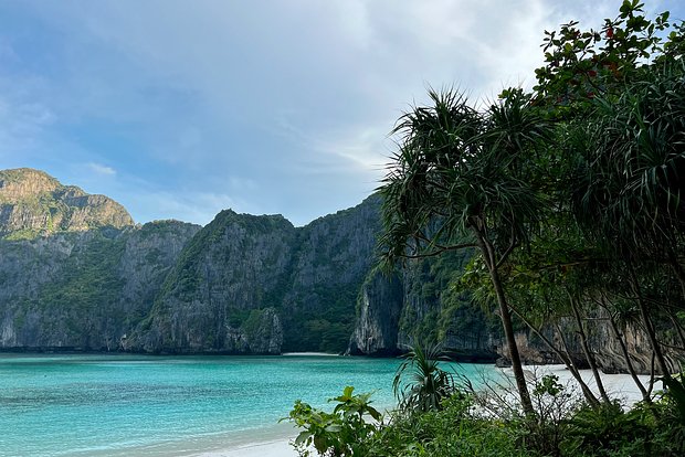 Вводная картинка
