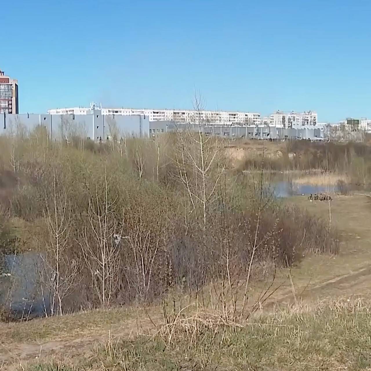 В российском городе на месте бывшей свалки откроют парк