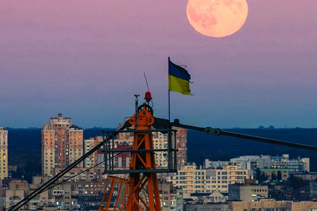 Вводная картинка