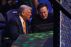 Дональд Трамп и Илон Маск