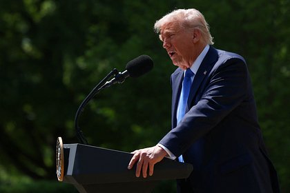 Трамп раскрыл дальнейшую судьбу Уолтца
