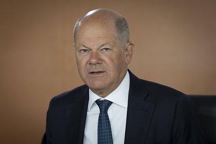 Шольц высказался о возможном запрете АдГ