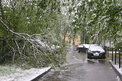 Синоптик описала количество выпавших в Москве осадков фразой «такого не случалось никогда»