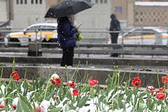 news_image