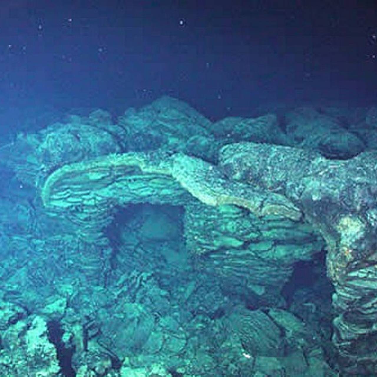 Фото: NOAA NeMo Observatory