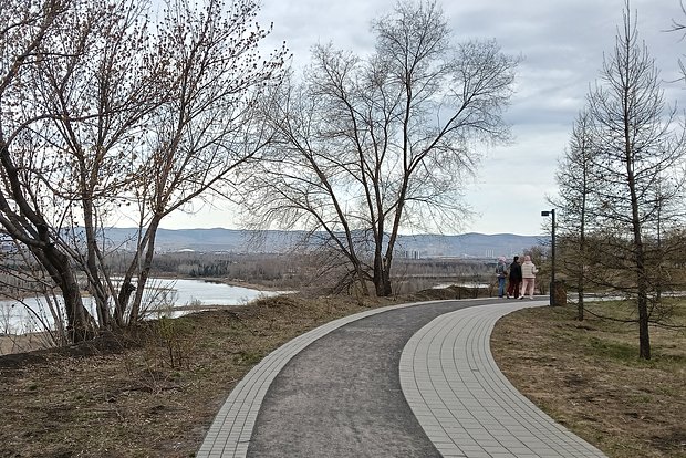 Вводная картинка