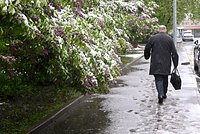 Кажется, погода сошла с ума. Второй год подряд на майских праздниках в России идет снег. Так теперь будет всегда?