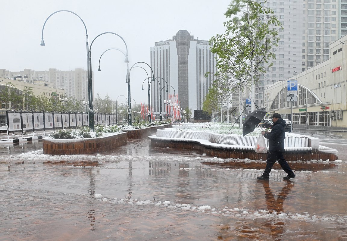 Снегопад в Москве 2 мая 2025 года