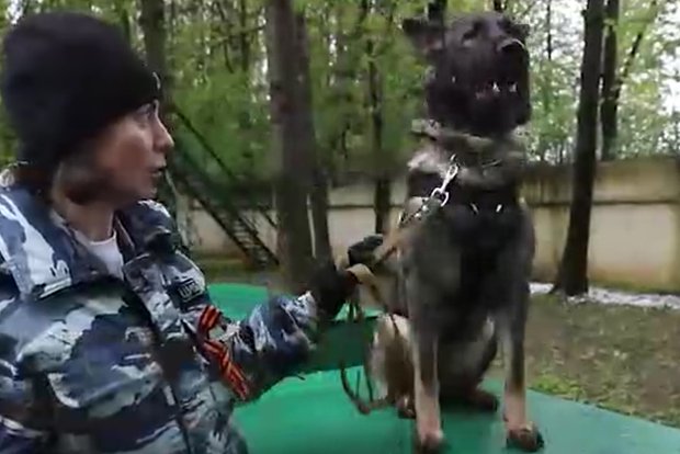 Вводная картинка