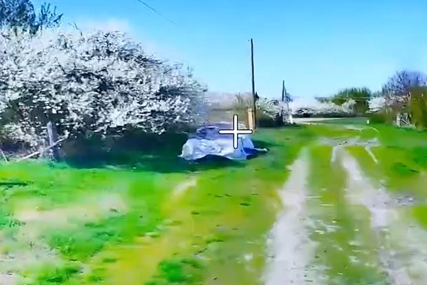 Вводная картинка