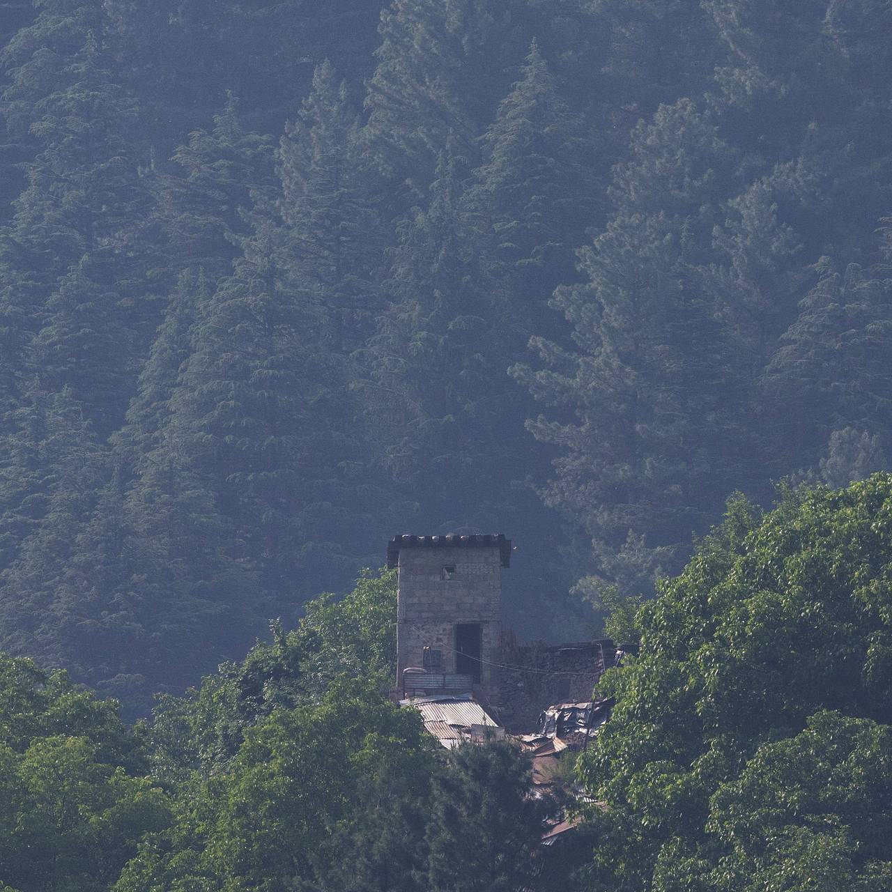 Фото: Adnan Abidi / Reuters