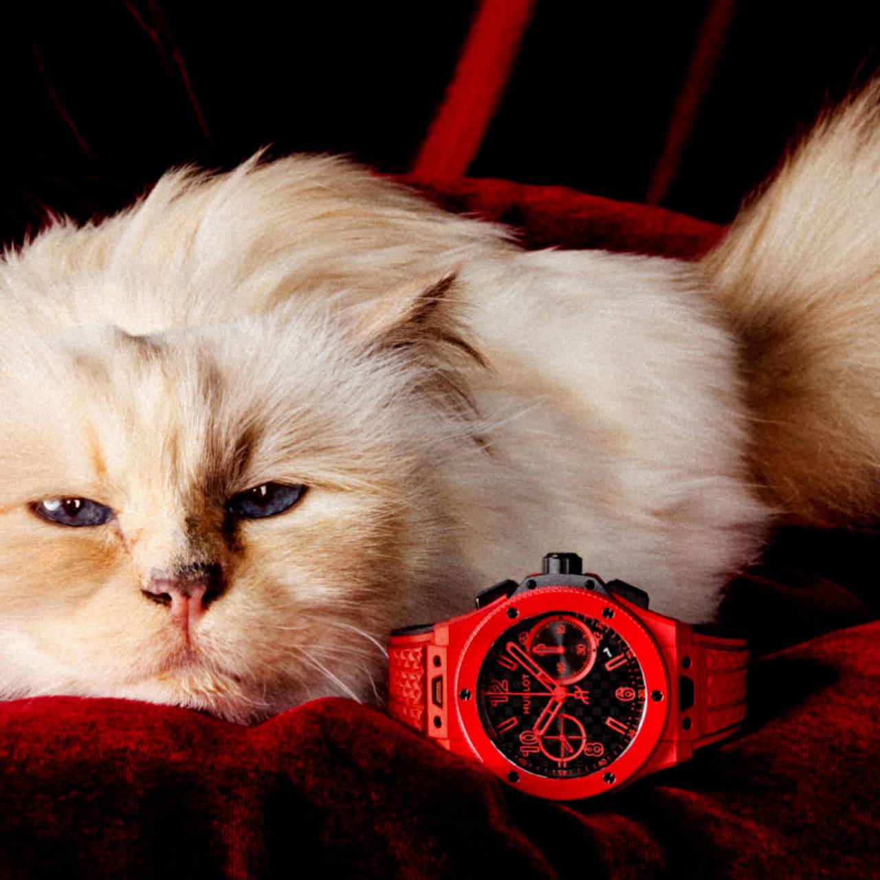 Фото: hublot.com