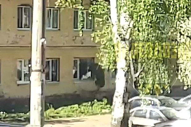 Вводная картинка