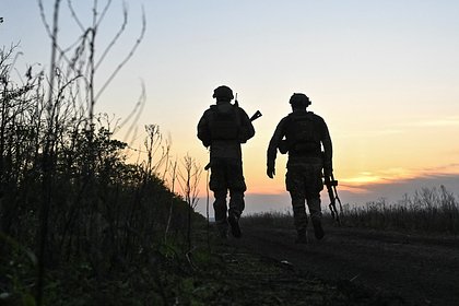 Стало известно о массовой сдаче в плен ВСУ во время перемирия
