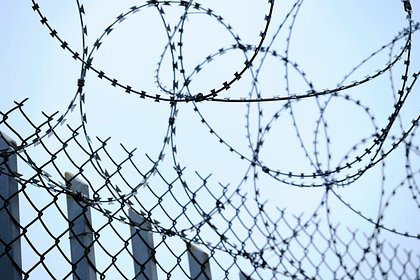 Экс-глава департамента Минсельхоза использовал поддельные документы