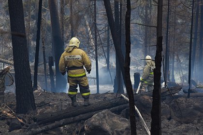 В Забайкалье потушили крупный пожар