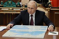 «Это будет великая неделя!» Путин предложил провести переговоры по Украине в Стамбуле. Как на это отреагировали в мире?
