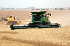 news_image