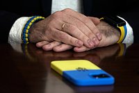 «Все в мире очень давно ожидали этого» Что говорят о мирном процессе и переговорах с Россией на Украине?