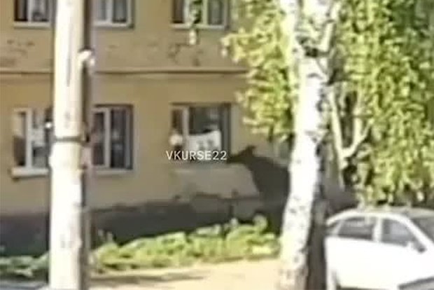 Вводная картинка