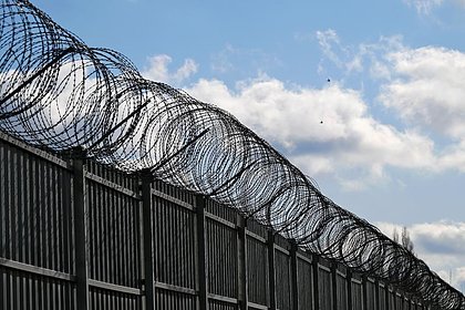 Осужденный за хранение наркотиков сын народной артистки умер в колонии