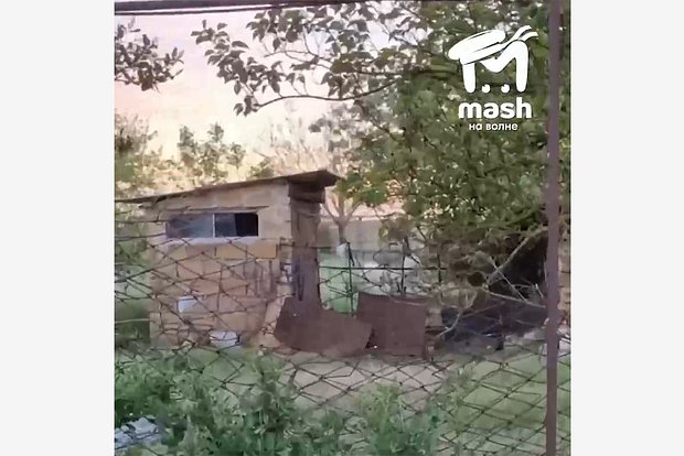 Вводная картинка