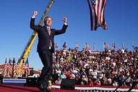 «У него есть доступ к уху Трампа» Кто такой Стив Уиткофф и почему именно он стал главным переговорщиком США по Украине?