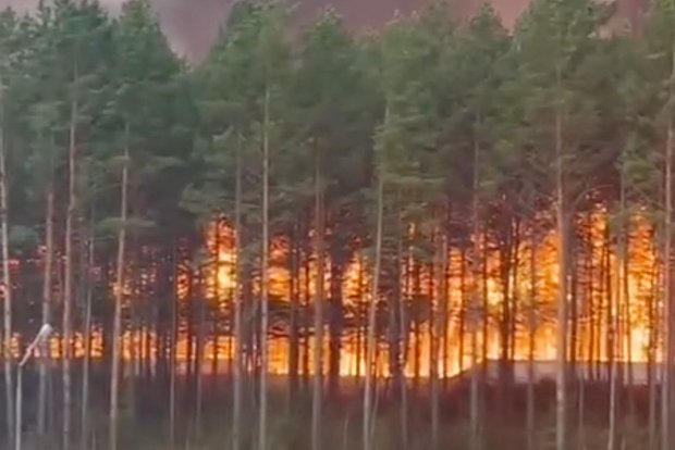 Вводная картинка