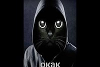 Мем «окак»: откуда взялась картинка с котом в капюшоне и что она означает