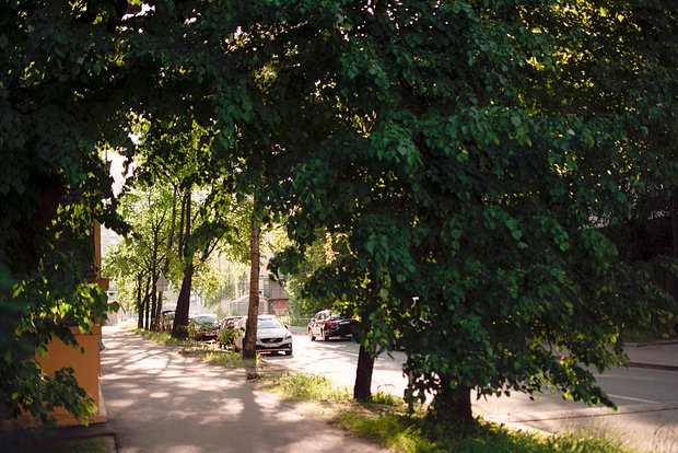 Вводная картинка