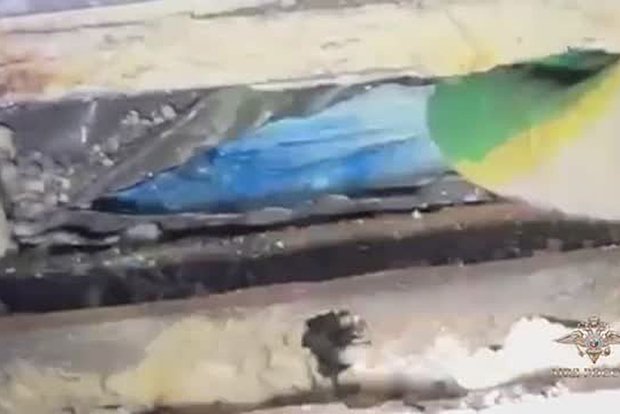 Вводная картинка