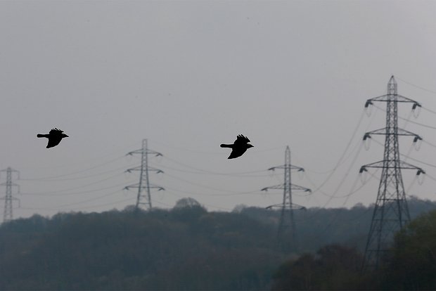 Вводная картинка