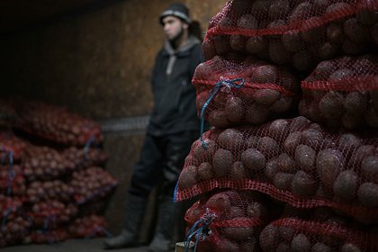 Российские власти решили урезать расходы на отечественный картофель