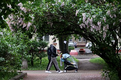 Москвичам напомнили о штрафах за срывание сирени