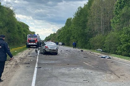 Число погибших и пострадавших в массовом ДТП в Курской области увеличилось