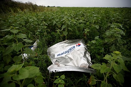 Путин обсудил с премьером Малайзии решение ИКАО по MH17