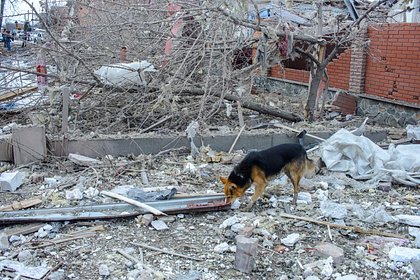 Российские военные уничтожили ремонтную базу ВСУ в Сумах