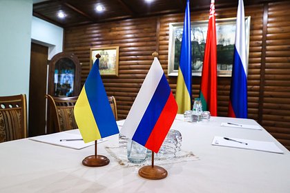 Военкор назвал причину включения одного переговорщика в делегацию РФ в Стамбуле